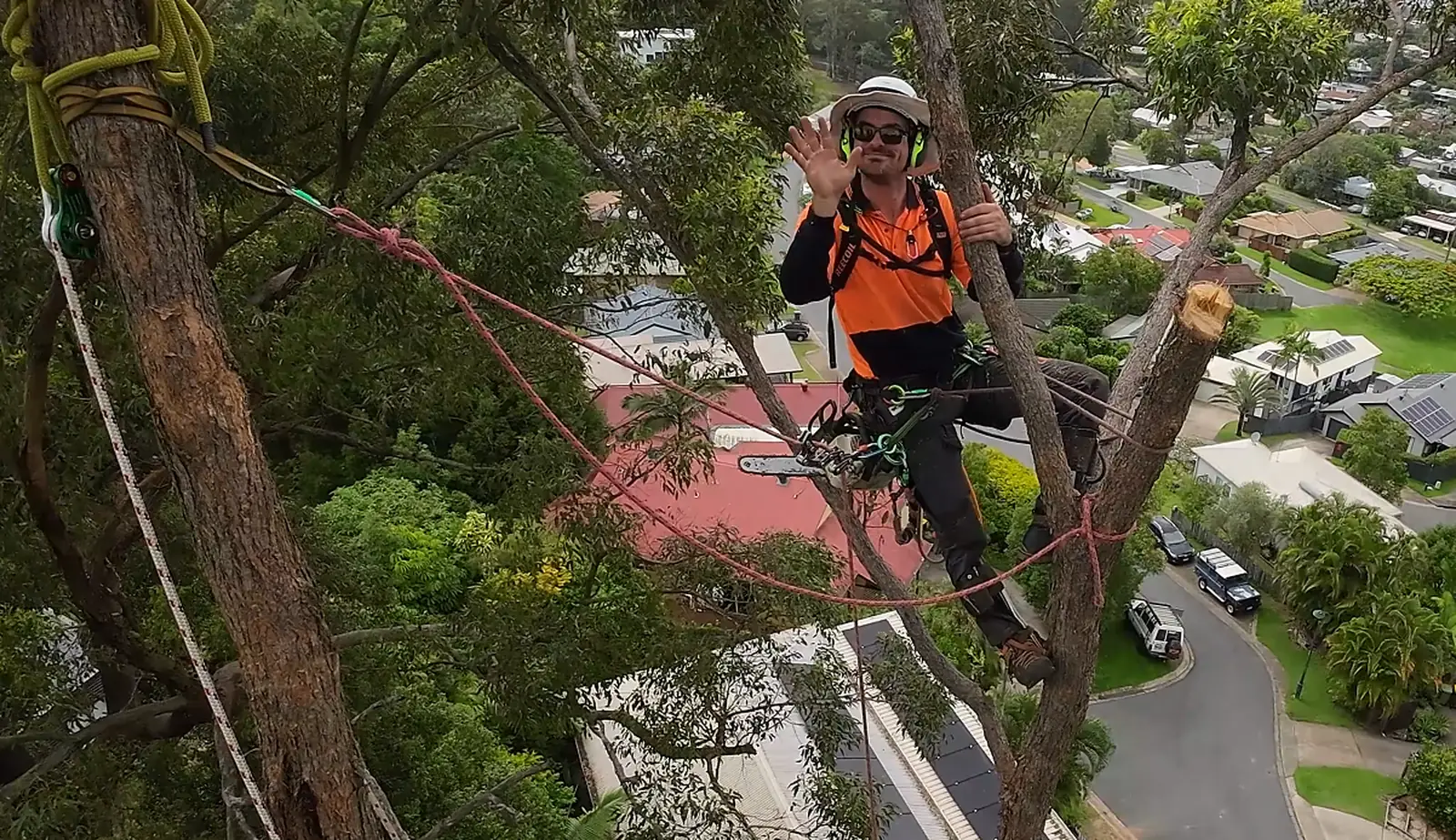 Tree Removal Sunshine Coast | Qualified Arborists | Mudjimba Trees